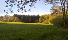 Klimatolog: Zemědělci musí čelit tomu, že vody v půdě bude méně