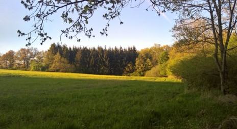 NATURA VIVA začíná již zítra! Přijďte se za námi podívat.