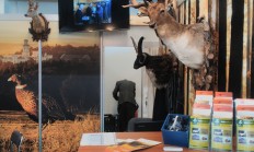 Přijďte se za námi podívat na Natura Viva v Lysé nad Labem