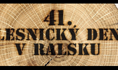 Na Lesnický den se do Ralska o víkendu sjede dřevorubecká špička