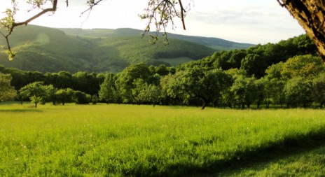 Revír Baraní dvor na Slovensku