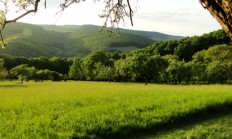 Revír Baraní dvor na Slovensku