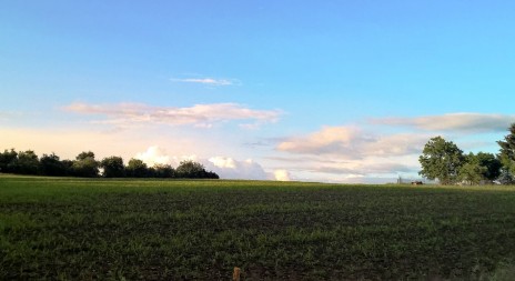 Slavnost přátel přírody a myslivosti 