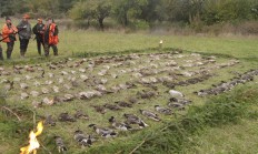 Nabídka na poplatkový lov ve Svatohubertsvé bažantnici