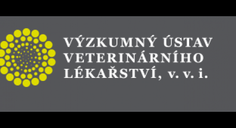 Jak je to s divokými prasaty v ČR?