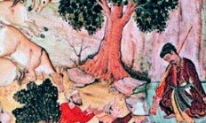Historie sokolnictví v Indii