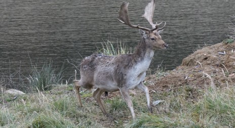 Obora Martinice s ubytováním - tipy pro Vás