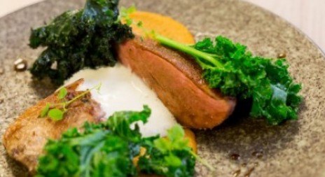 Recept na tento víkend - divoká kachna dle Antonína Bradáče