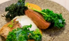 Recept na tento víkend  - divoká kachna dle Antonína Bradáče