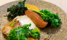 Recept na tento víkend - prsa z divoké kachny