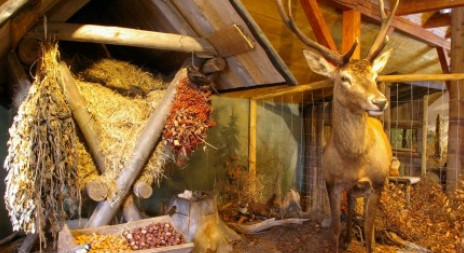 Navštivte v Harachově expozici Šindelka