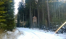 Doporučujeme - nabídka lovu v honitbě Vacíkov