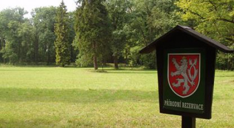Doporučujeme - lov v honitbě Sherwood - Safari muzeum Hostín