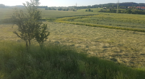 Je čas na kontrolu uskladnění sena a letniny
