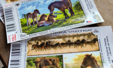 Turistická vizitka láká návštěvníky za zubry a divokými koňmi