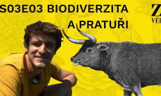 Akademie věd vytvořila pořady pro on-line vzdělávání