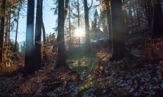 Používání zálomků - myslivecká terminologie