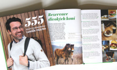 Novinky v Rezervaci divokých koní 