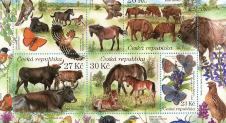 Rezervace divokých koní, zubrů a praturů se stala námětem aršíku