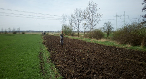 Nezapomeňte se připravit na jaro - pastevní směsky