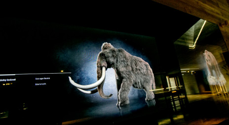 Počátky lovu lovců mamutů na našem území - ArcheoPark Pavlov