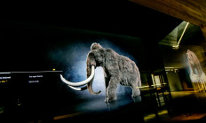 Počátky lovu lovců mamutů na našem území - ArcheoPark Pavlov