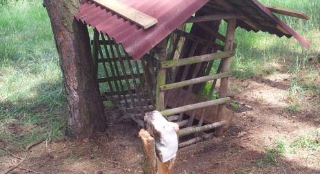 Začněte čistit přikrmovací zařízení - aktualita z honitby  