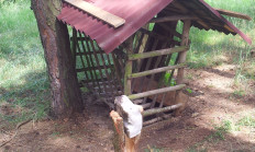 Začněte čistit přikrmovací zařízení - aktualita z honitby  