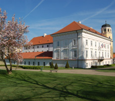 Zámek Vlašim - expozice střelectví a zbrojařství 
