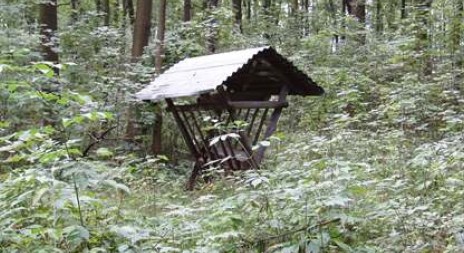 Honitba Sherwood - Safari muzeum Hostín