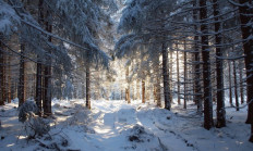 Zimní krajina - Josef Vršan