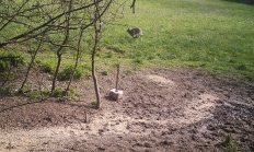 Nové záběry z fotopasti 2. 5. 2017